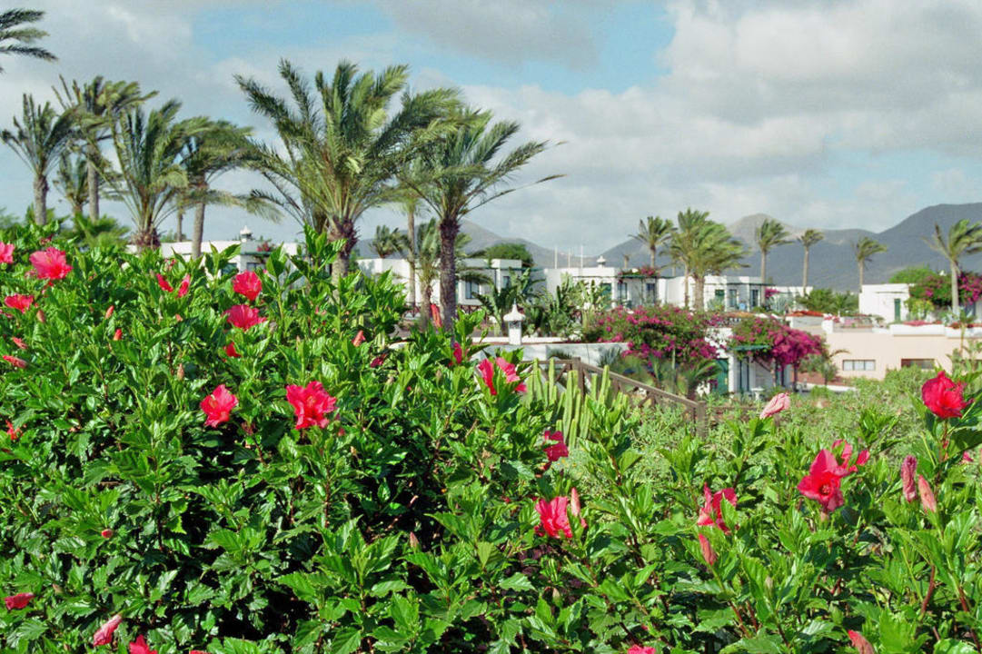Gartenanlage mit Bungalows Hotel HL Club Playa Blanca