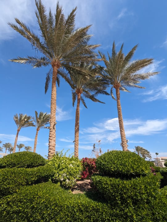 Gartenanlage Cleopatra Luxury Resort Makadi Bay