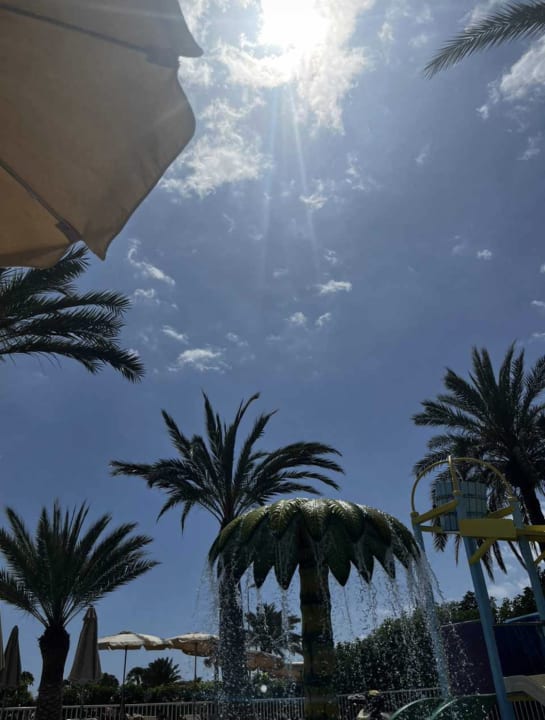 Pool Hotel Riu Papayas