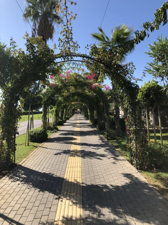 Garten Royal Seginus