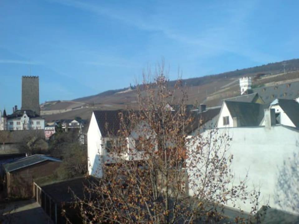 Aussicht aus dem Zimmer Breuers Rüdesheimer Schloss