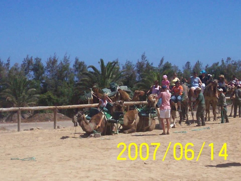 Oasis Park Occidental Jandía Playa