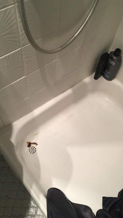 Zimmer SMARTY Cologne City Center Hotel | Hostel | Boardinghouse