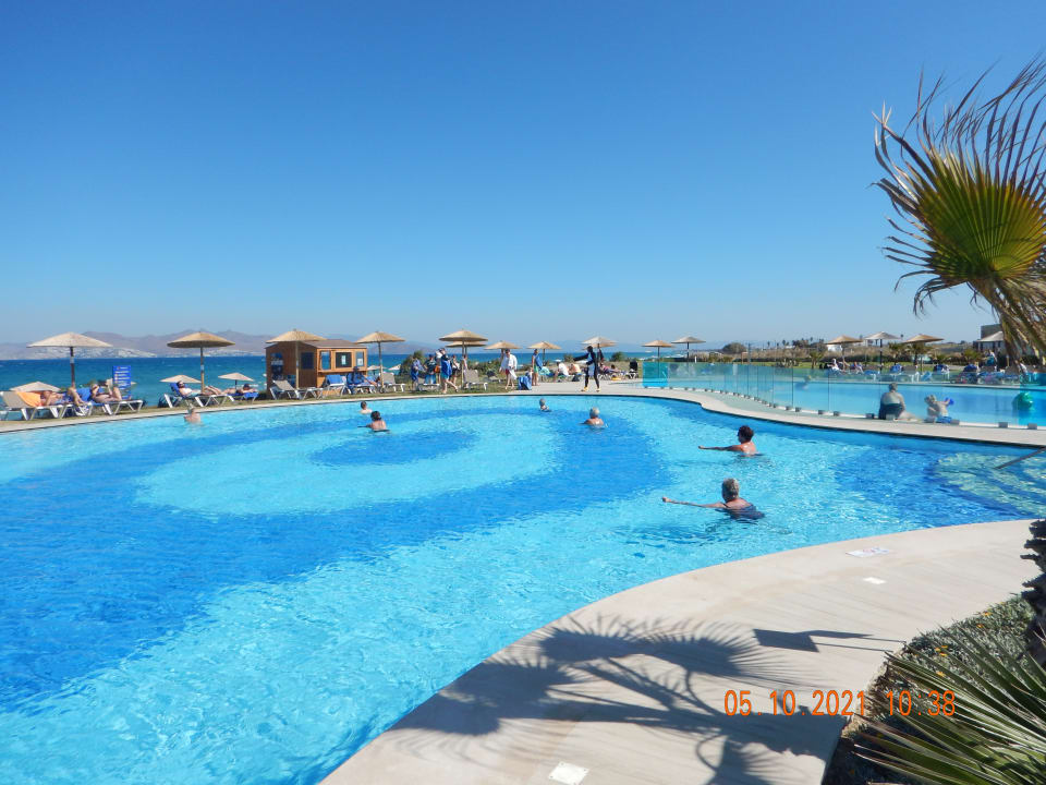 Pool Astir Odysseus Kos Resort & Spa