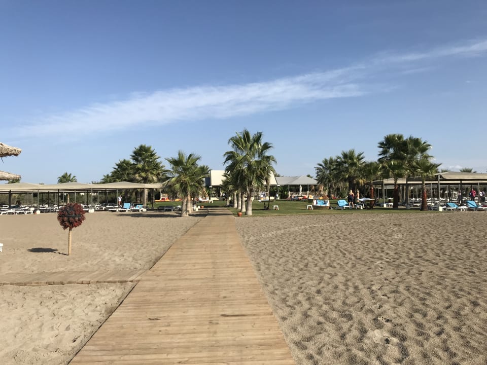 Strand ROBINSON NOBILIS