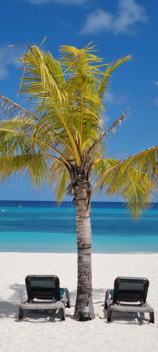 Ausblick Kuredu Island Resort & Spa