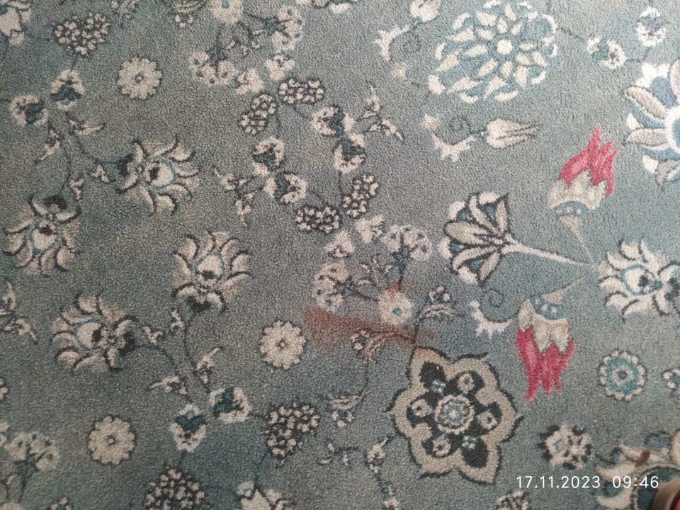 Zimmer Royal Taj Mahal Hotel