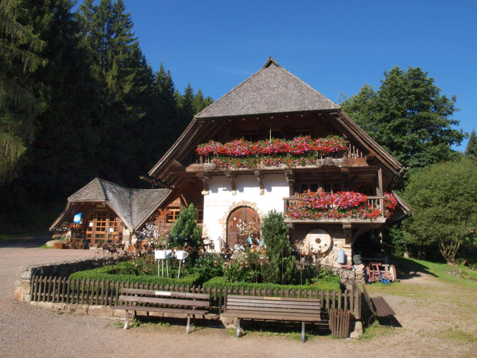 Unser Mühlenmuseum mit Kiosk Hotel Tannenmühle