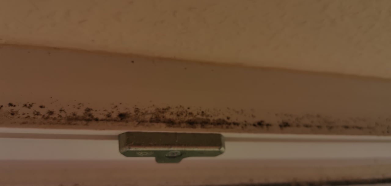 Zimmer Center Parcs Park Bostalsee