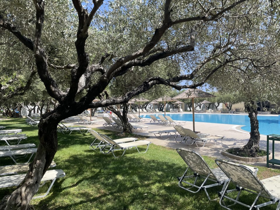 Pool TUI KIDS CLUB Alex Beach