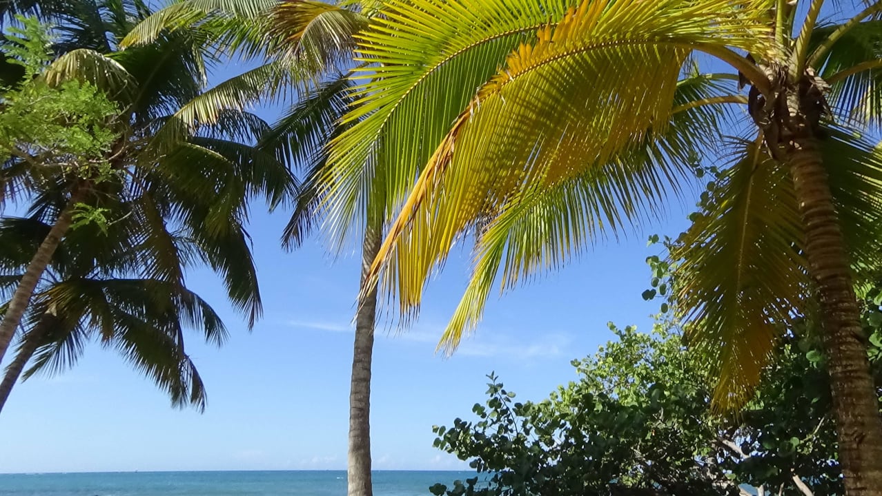 Vom Liegestuhl zum Meer Senator Puerto Plata Hotel