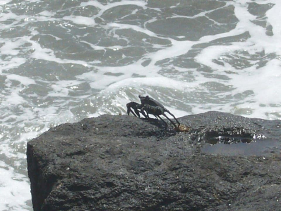 Am Strand Hotel Europalace