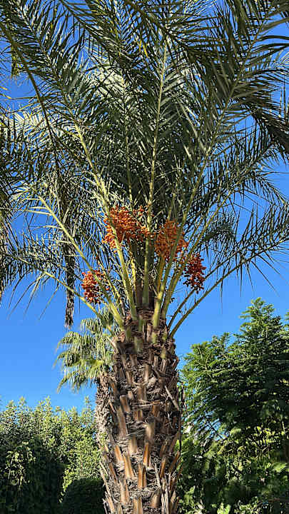 Strand Bella Resort & Spa