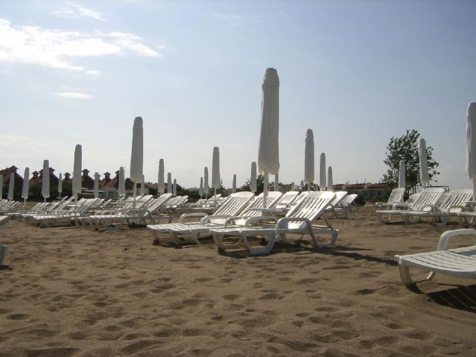 Strand Lara Barut Collection