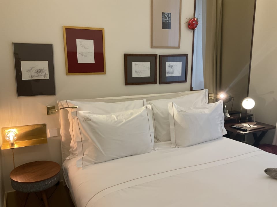 Zimmer The Ivens, Autograph Collection