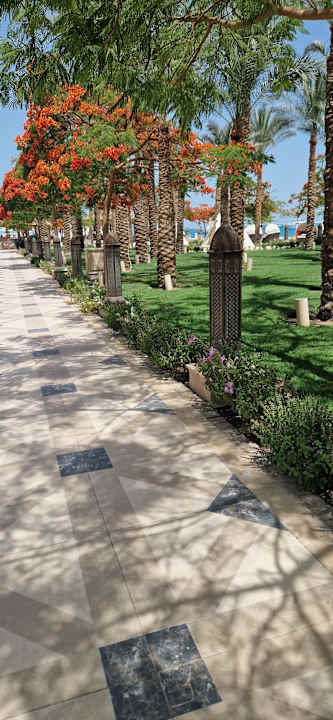 Gartenanlage The Grand Palace - Adults only