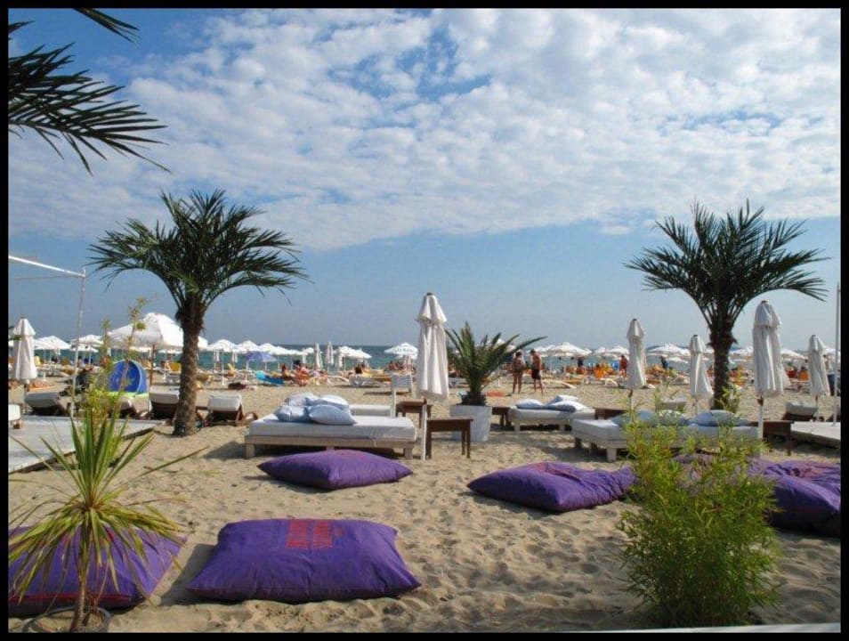 Strandbar DIT Majestic Beach Resort