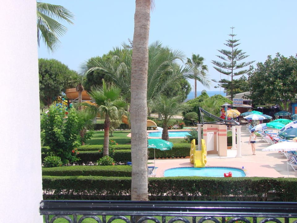 Вид из номера  Club Turtas Beach Hotel