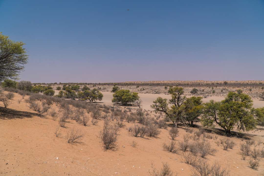Ausblick Kalahari Tented Camp