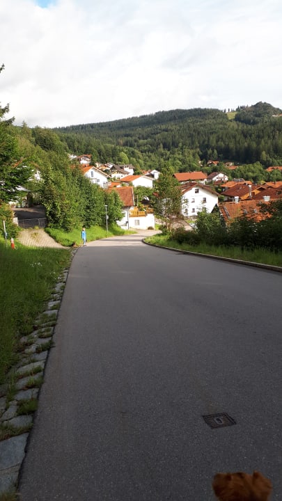Ausblick Montara Suites Bodenmais