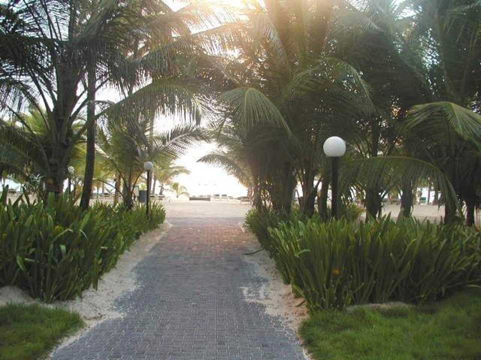 Fußweg zum Strand Hotel Riu Bambu