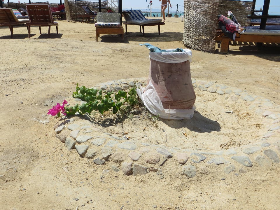 Schöne Stranddeko Riviera Aqua Park Resort