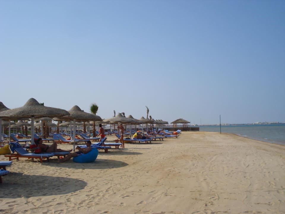 Nigdy nie brakowało wolnych leżaków Amwaj Beach Club Abu Soma Resort