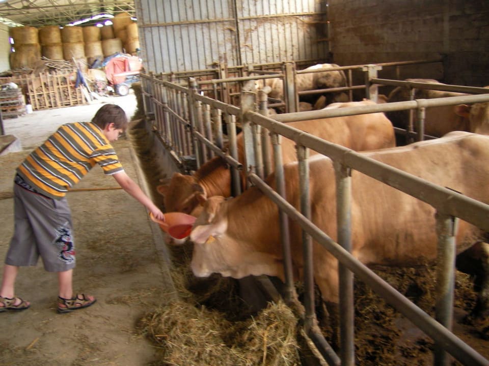 Bullenzucht von La Mussia Hotel La Mussia