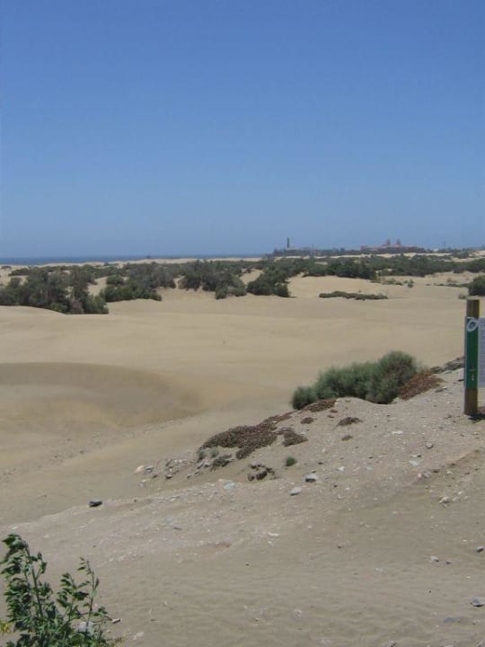 Aussicht vom RIU Palace... Hotel Riu Palace Oasis