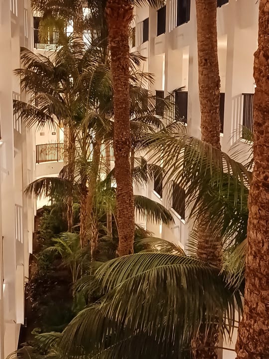 Sonstiges Hotel Riu Palace Maspalomas Adults Only