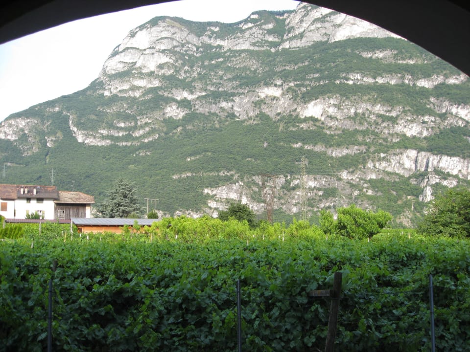Blick aus dem Fenster, auf Weireben u. Berge Hotel Teutschhaus