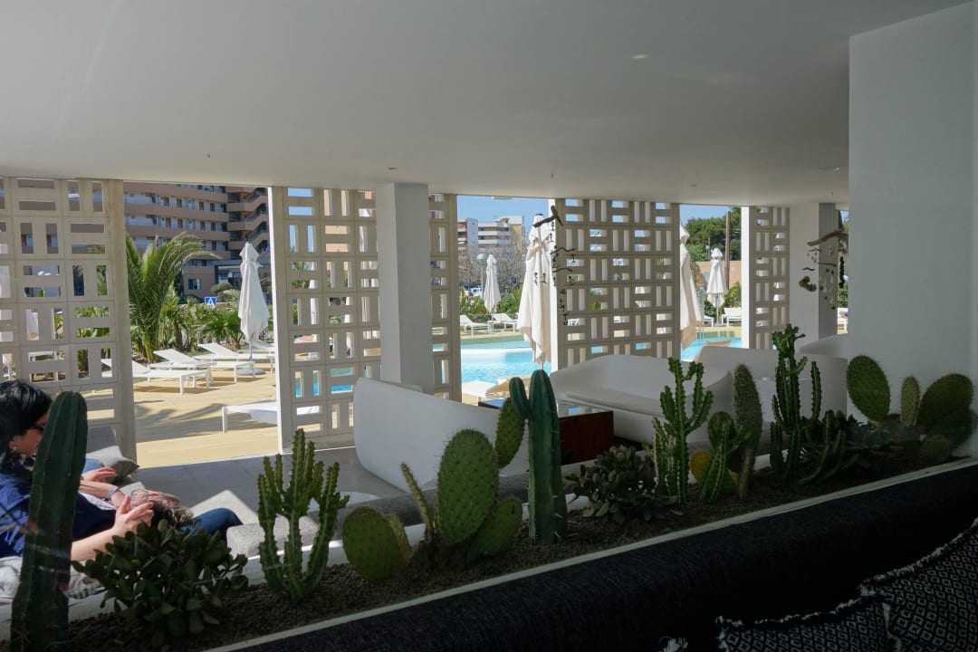 Blick vom Barbereich auf den Pool HM Balanguera Beach