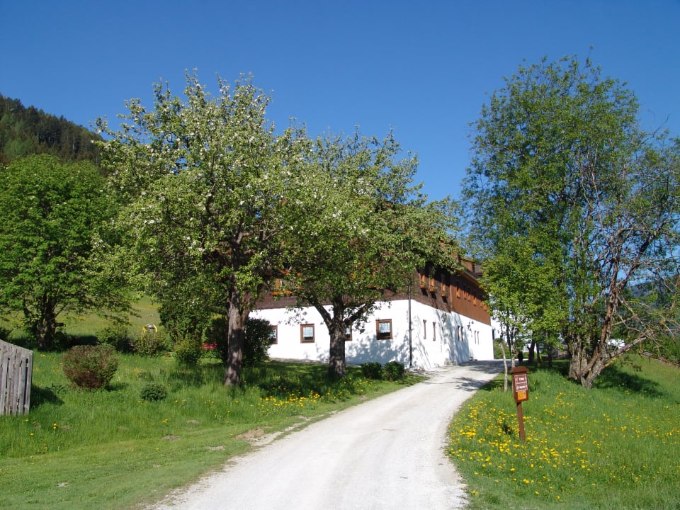Außenansicht Ferienparadies Wiesenbauer