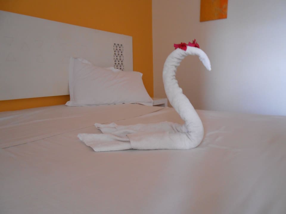 Trinkgeld Dankeschön Djerba Sun Beach Hotel & Spa