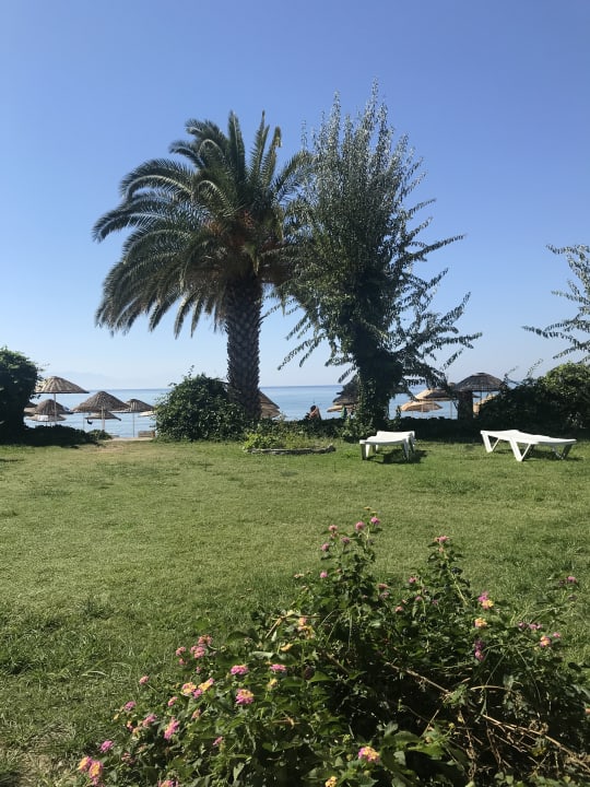 Garten Dogan Paradise Beach
