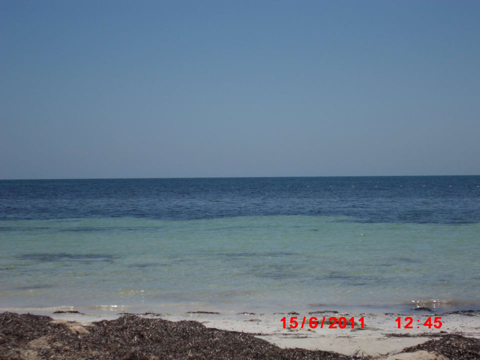 Etwas Seegras aber baden konnte man da gut Hotel El Mouradi Djerba Menzel