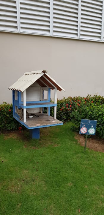 Sonstiges Royalton Hicacos Resort & Spa - Adults only