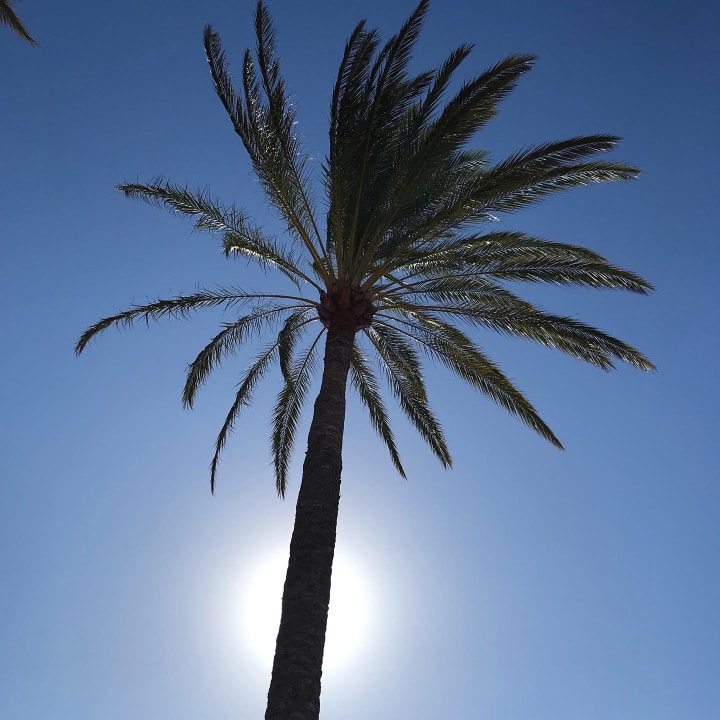 Ausblick Iberostar Waves Gaviotas Park