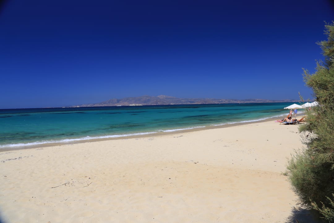 Strand Plaza Beach Hotel