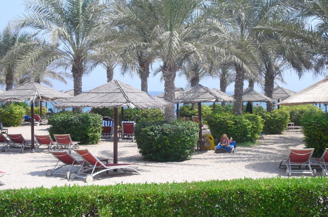 Sehr schön Miramar Al Aqah Beach Resort