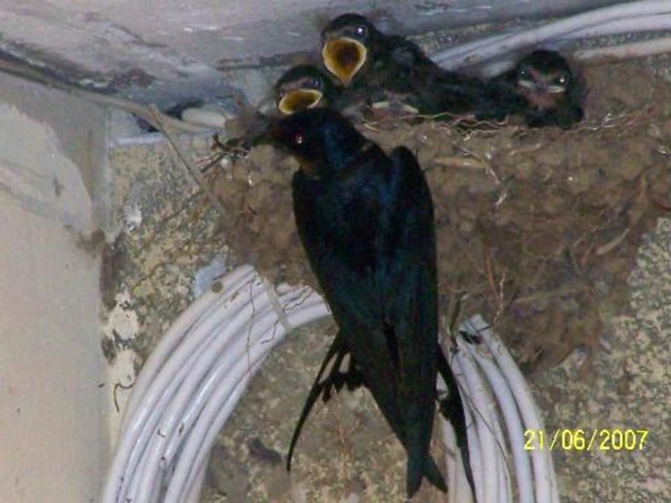 Im Flur des Hotels Royal Park Royal Park Hotel & Aqua park