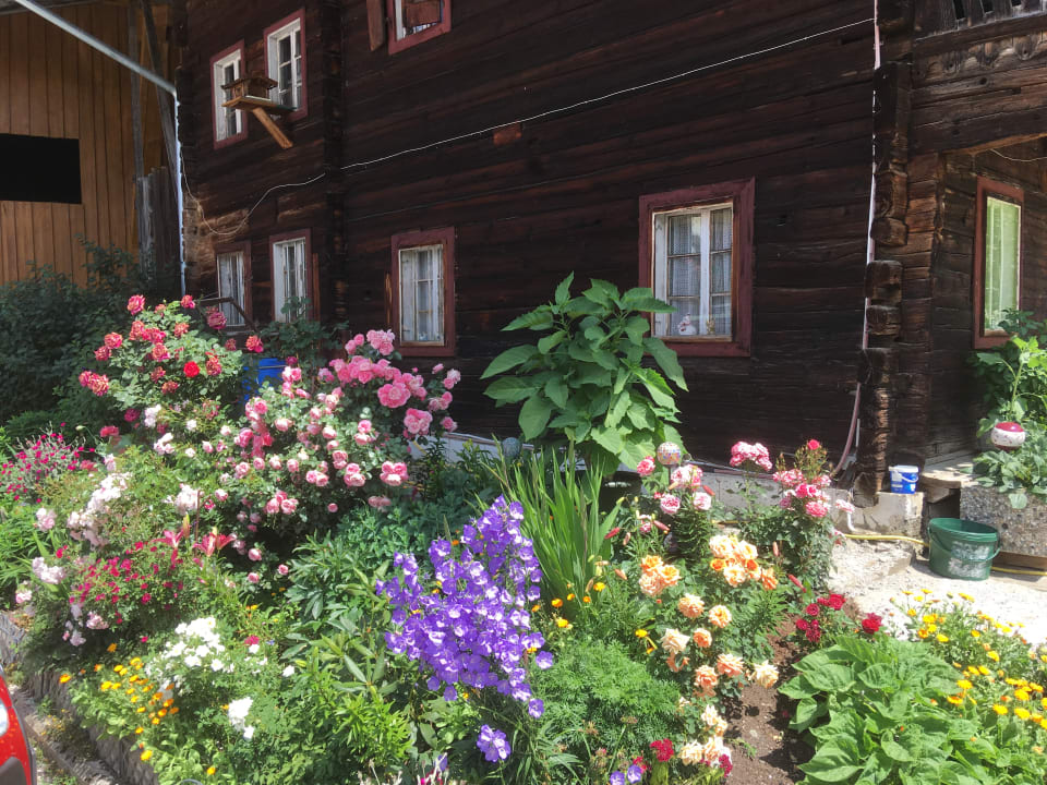 Außenansicht Alpengasthof Tannenalm