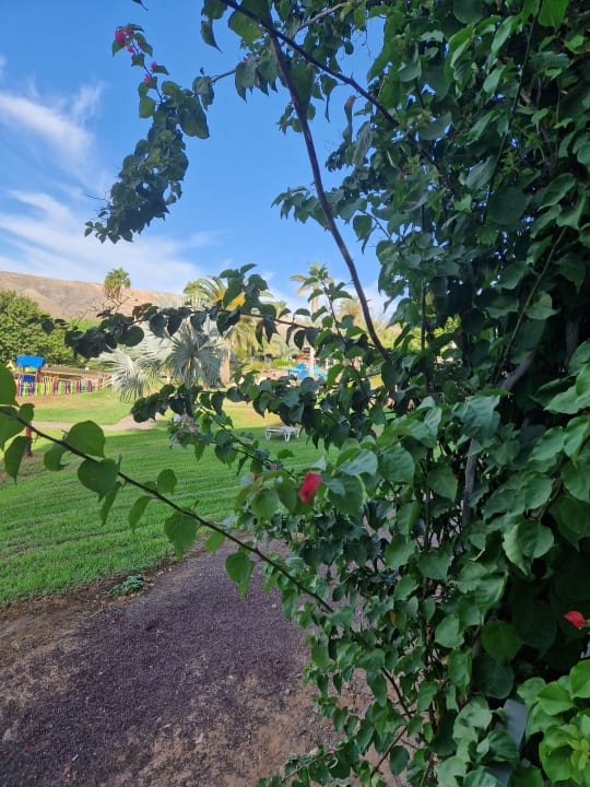 Gartenanlage allsun App.-Hotel Esquinzo Beach