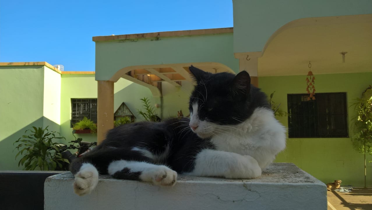 Sonstiges Privatzimmer Finca Guanabana de la Ceiba