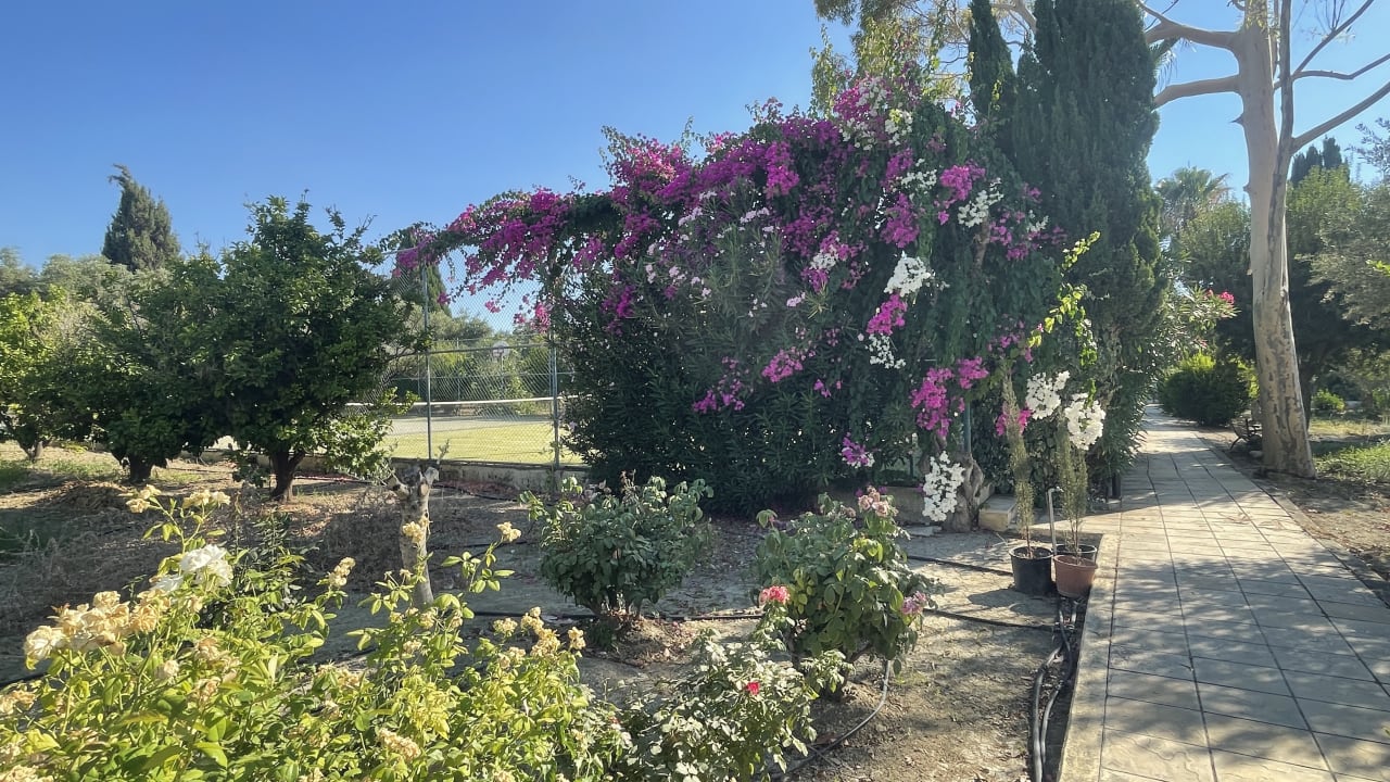 Gartenanlage Hotel Natura Beach