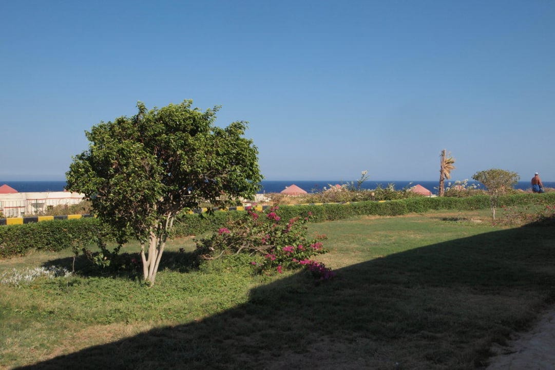 Ogród przed pokojem Siva Golden Bay Makadi