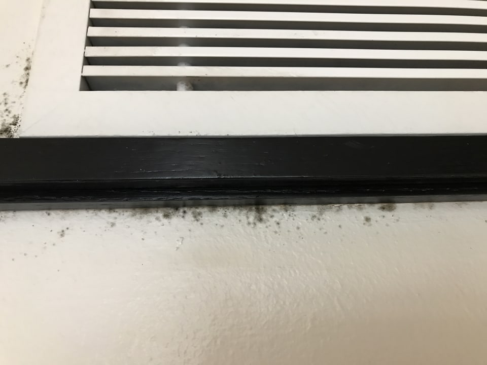 Zimmer H10 Rubicón Horizons Collection