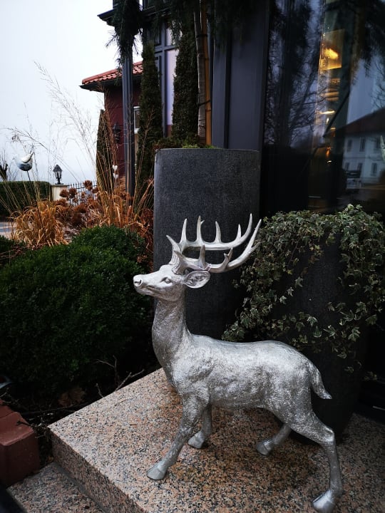 Sonstiges Hotel Sterr