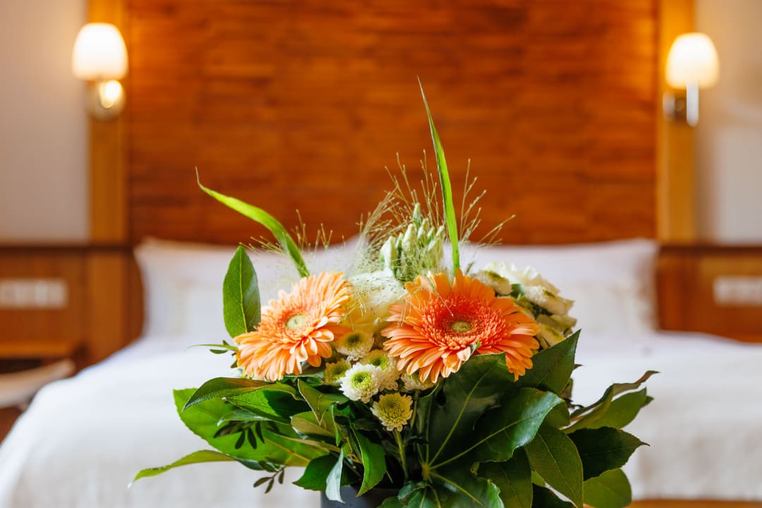 Zimmer Alpenhotel Sonneck