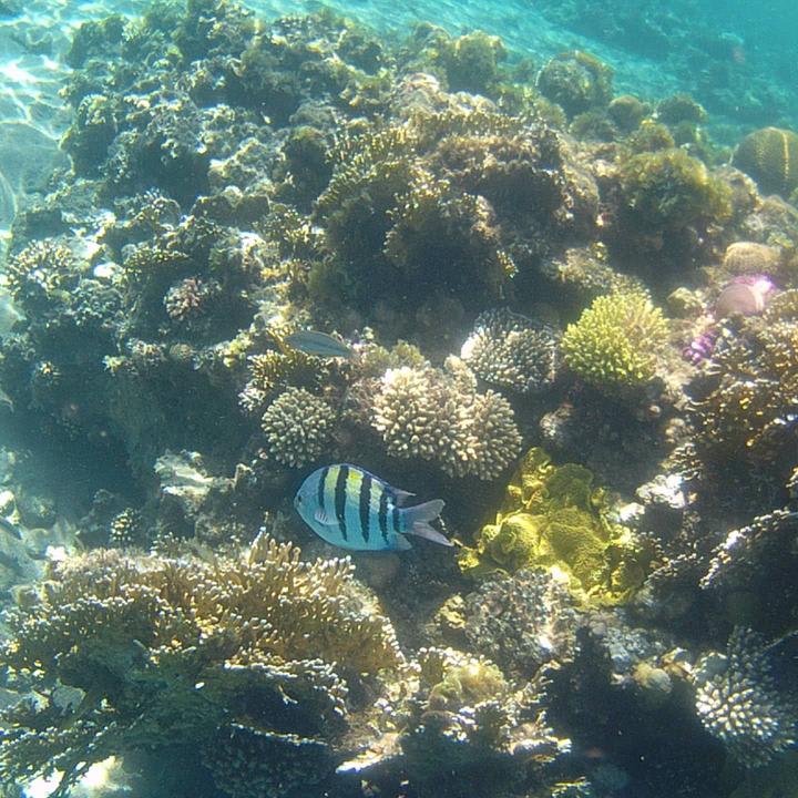 Strand Happy Life Village